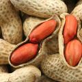 Чем полезен арахис для организма Большой арахис